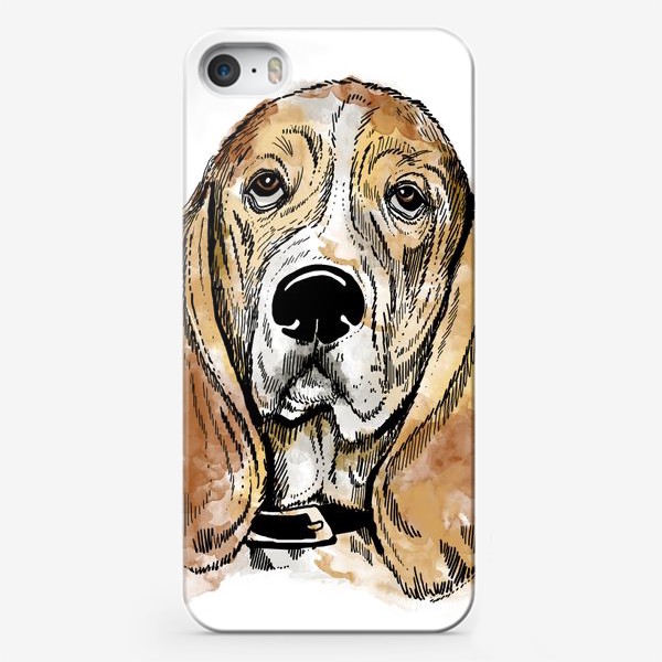 Чехол iPhone «Собака бассет хаунд»