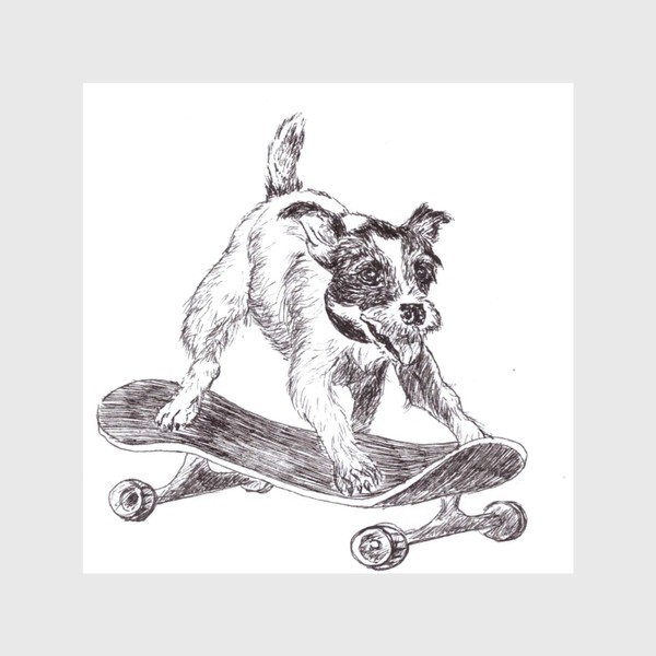 Шторы «Собака на скейте»
