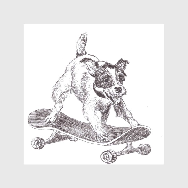 Скатерть «Собака на скейте»