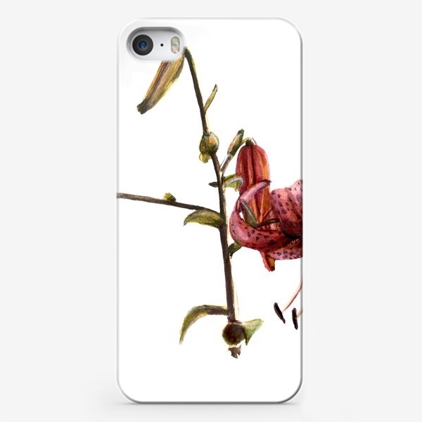 Чехол iPhone «веточка лилейника»