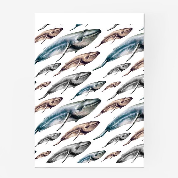 Постер «Паттерн с китами»
