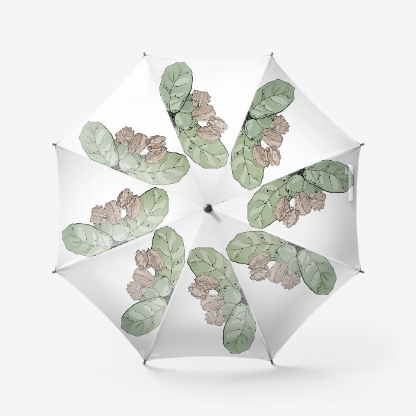 Зонт «Композиция из мешочка, грецких орехов и листвы в стилистике фуд-иллюстраций»