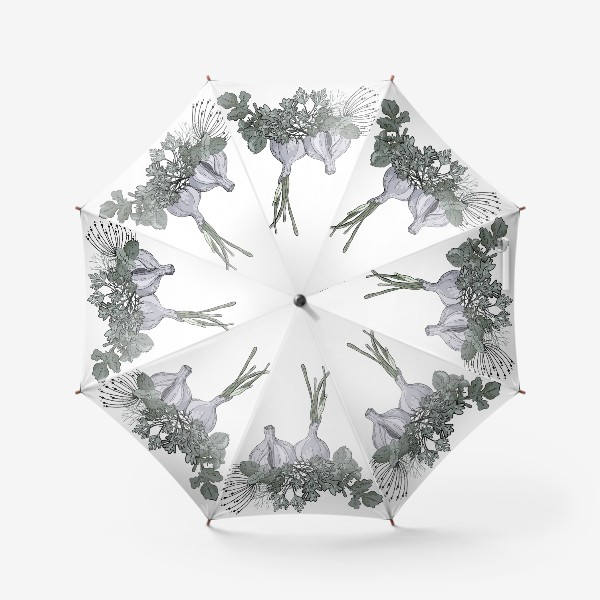 Зонт &laquo;Комопзиция из головок чеснока и пряных трав в стилистике фуд-иллюстраций&raquo;