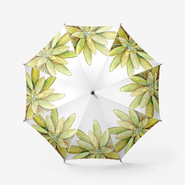 Зонт «суккулент длиннолистный»