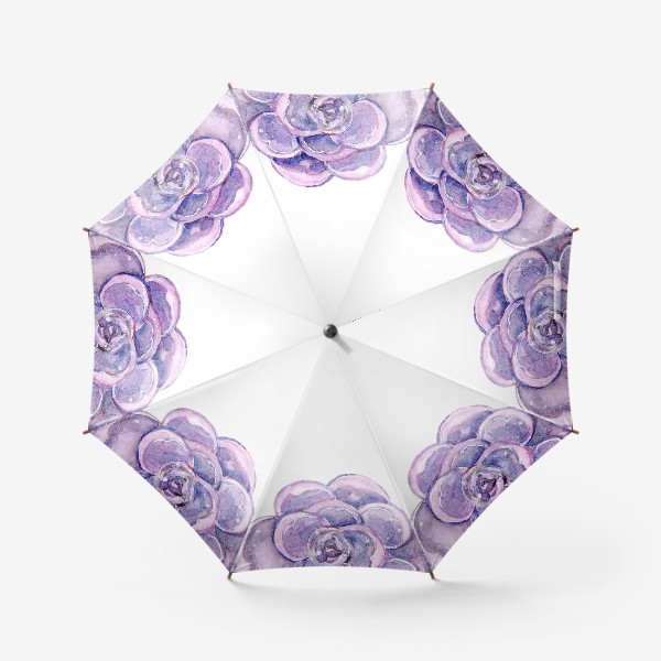 Зонт «фиолетовый суккулент»
