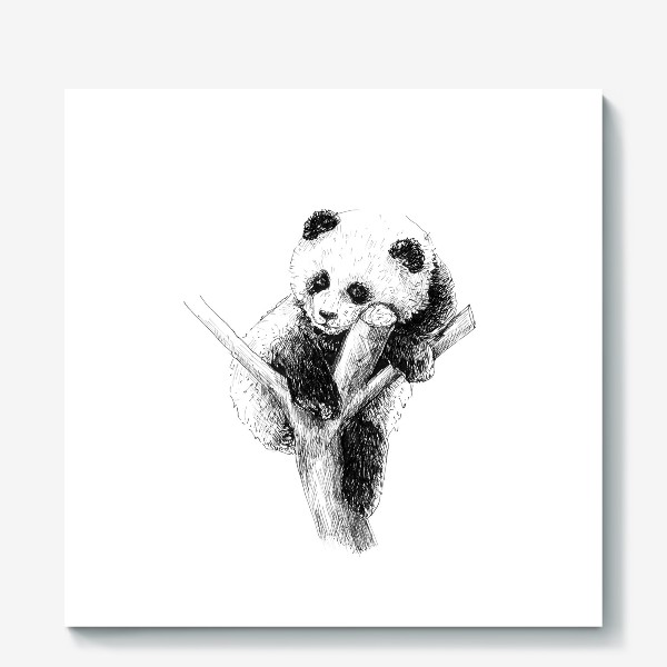 Холст «Панда »