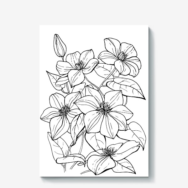 Холст «Клематис. Черно-белая графика, цветы»