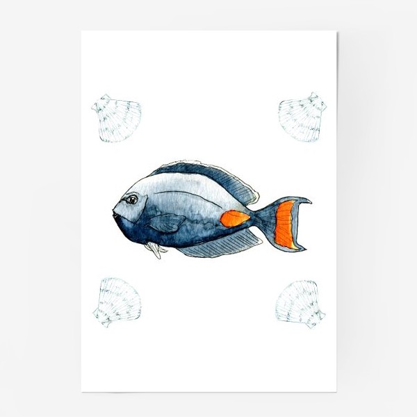 Постер «Морская рыбка»