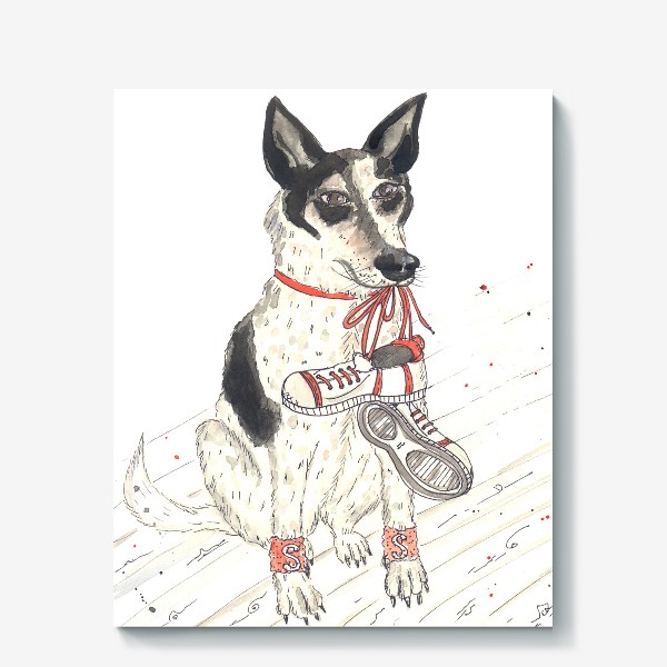 Холст «Акварельный портрет собаки  (хилер) со спортивными аксессуарами»