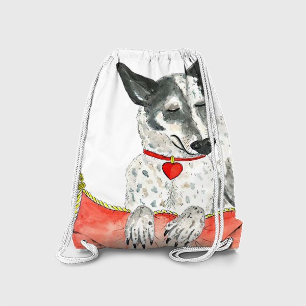 Рюкзак «Акварельный портрет собаки (порода хилер) на красной подушке»