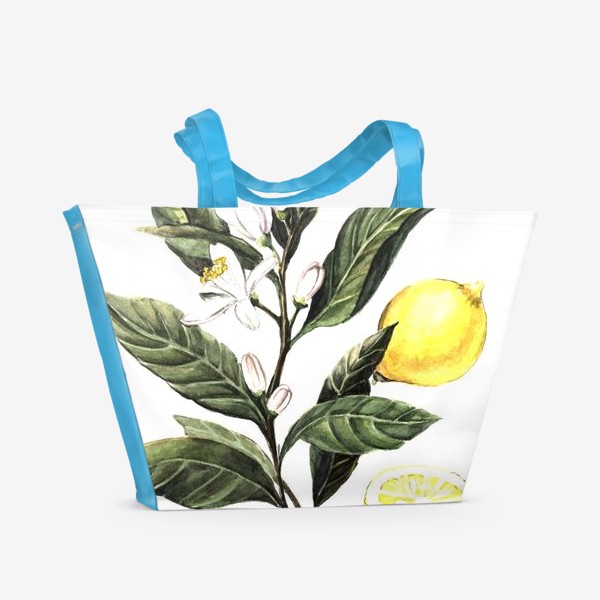 Пляжная сумка «Лимон. Ботаническая иллюстрация»