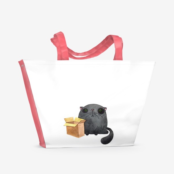 Пляжная сумка «Приключения кота и коробки 1»