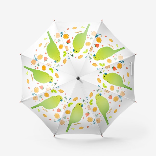 Зонт «Салатовый волнистый попугайчик в окружении фруктов, ягод и травинок»