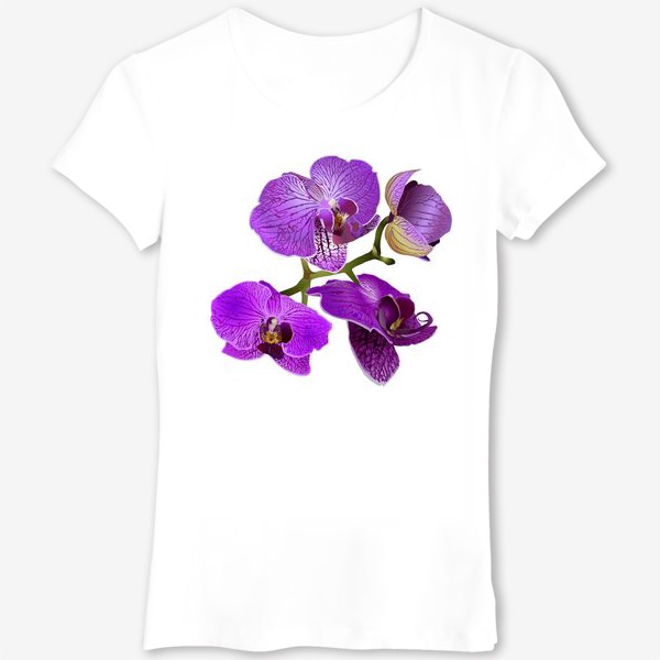 Футболка &laquo;Цветы розовая орхидея &raquo;