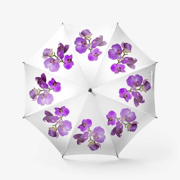 Зонт &laquo;Цветы розовая орхидея &raquo;
