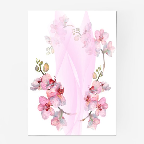 Постер «Орхидеи»