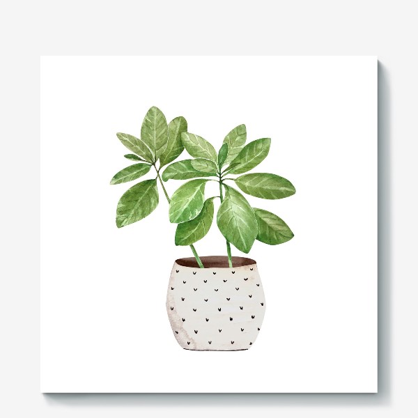 Холст &laquo;зеленое комнатное растение в горшке, крупным планом на белом фоне иллюстрации акварель&raquo;