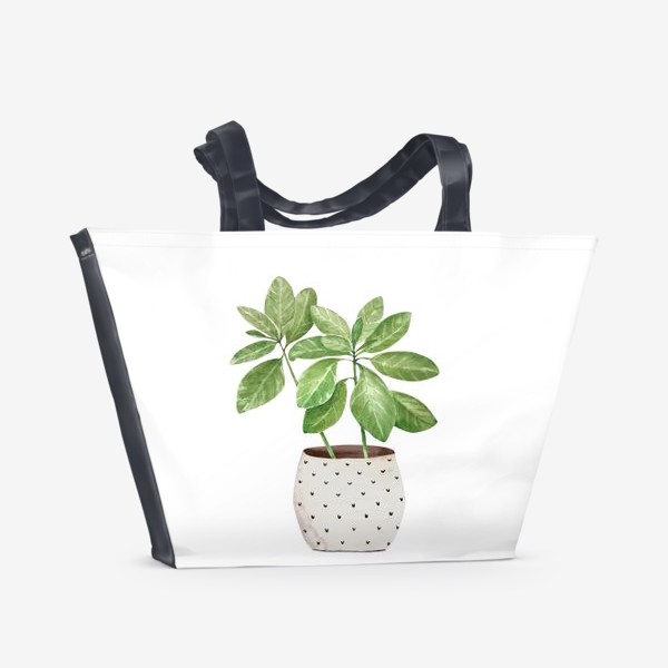 Пляжная сумка &laquo;зеленое комнатное растение в горшке, крупным планом на белом фоне иллюстрации акварель&raquo;