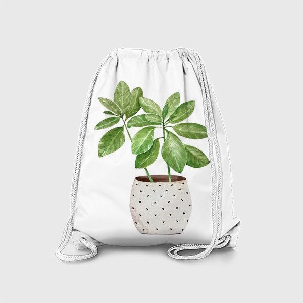 Рюкзак &laquo;зеленое комнатное растение в горшке, крупным планом на белом фоне иллюстрации акварель&raquo;