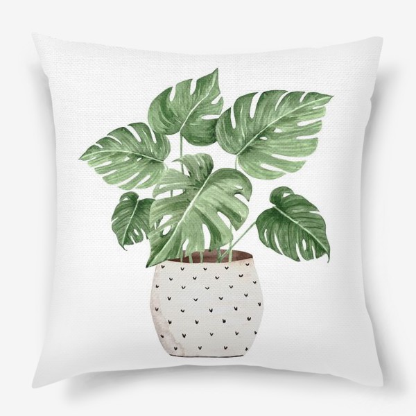 Подушка «Зеленое комнатное растение Монстера в горшке, крупным планом на белом фоне»