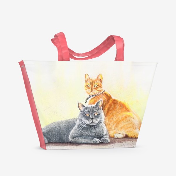 Пляжная сумка «Друзья коты (Один серый, другой рыжий)»
