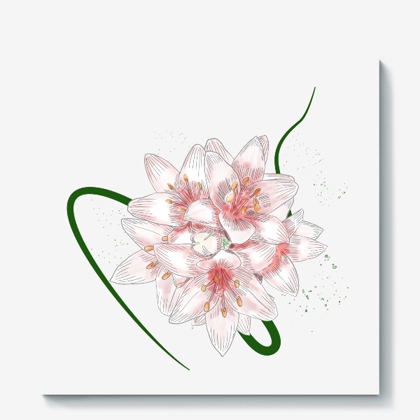 Холст «Цветы лилии, нежный розовый цвет, картинка ручной работы в стиле скетч»