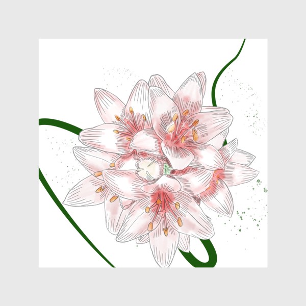 Шторы «Цветы лилии, нежный розовый цвет, картинка ручной работы в стиле скетч»
