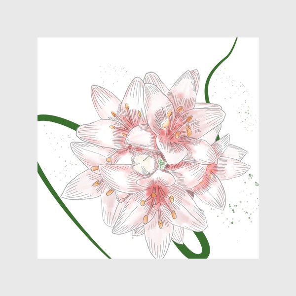 Скатерть «Цветы лилии, нежный розовый цвет, картинка ручной работы в стиле скетч»