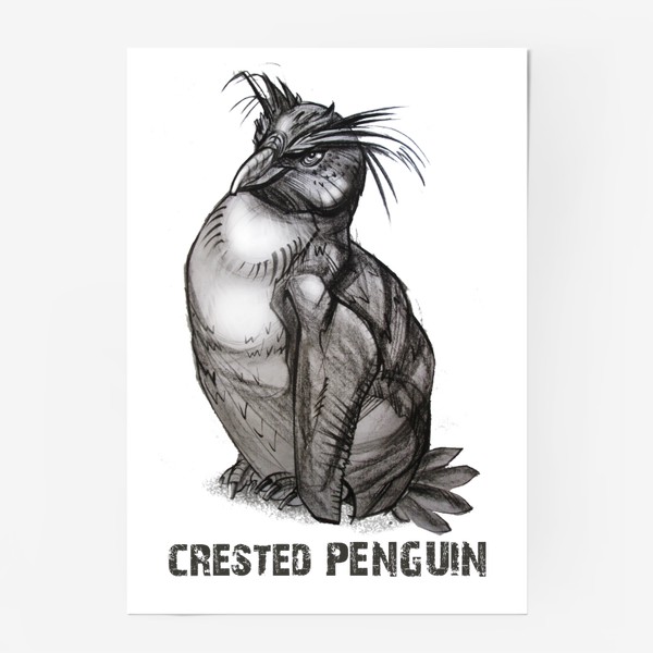 Постер «Хохлатый пингвин»