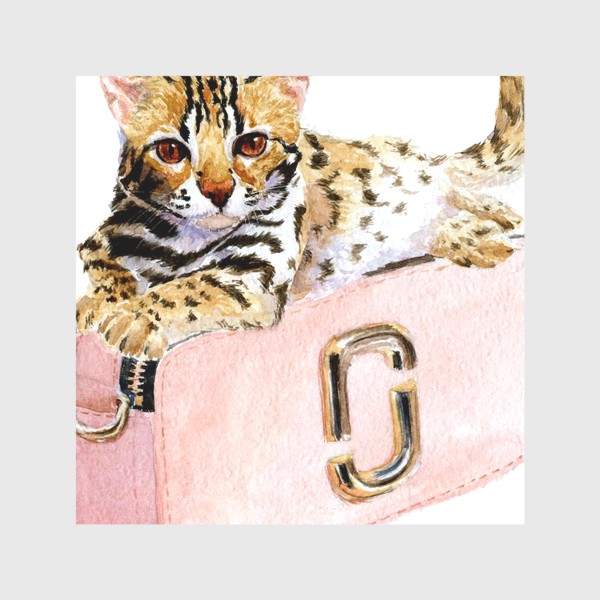 Скатерть «Котенок тойгер на модной сумне лежит»