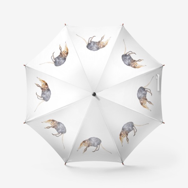 Зонт «редкое животное хоботковая собачка петерса»