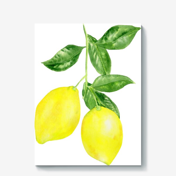 Холст «Ветка лимонов »