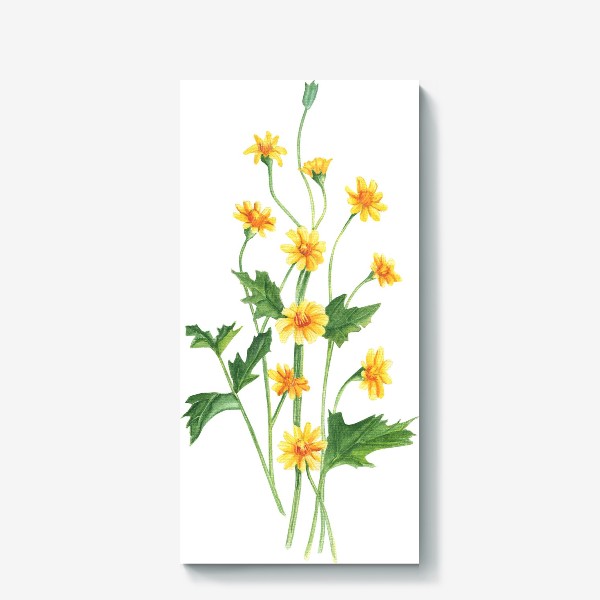 Холст «Желтые полевые цветы»