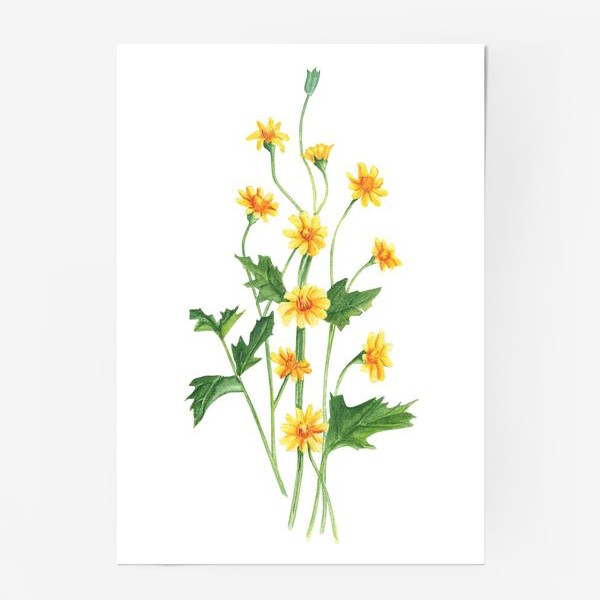Постер «Желтые полевые цветы»