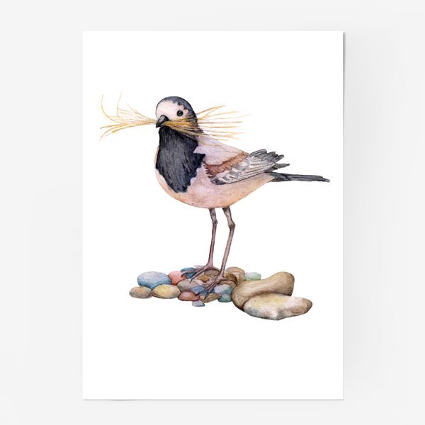 Постер «Птичка»