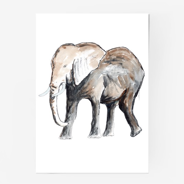 Постер «Слон. Сильный и добрый.»