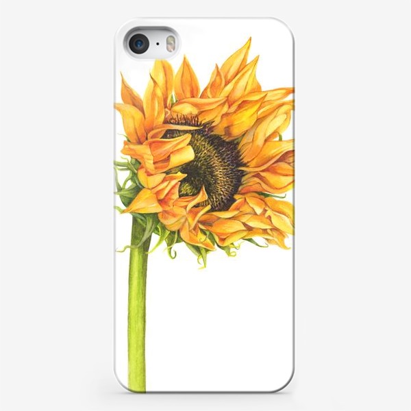 Чехол iPhone «Цветок подсолнуха»