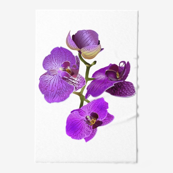 Полотенце «Кустик орхидеи фиолетового цвета векторная иллюстрация»