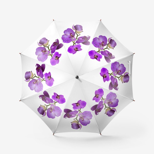 Зонт «Кустик орхидеи фиолетового цвета векторная иллюстрация»