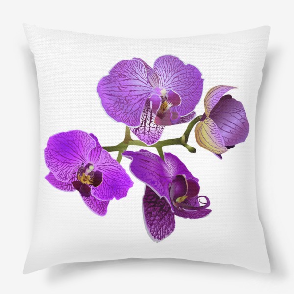 Подушка &laquo;Кустик орхидеи фиолетового цвета векторная иллюстрация&raquo;