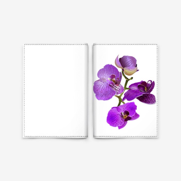 Обложка для паспорта «Кустик орхидеи фиолетового цвета векторная иллюстрация»
