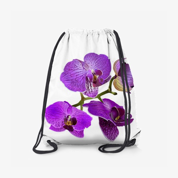 Рюкзак «Кустик орхидеи фиолетового цвета векторная иллюстрация»