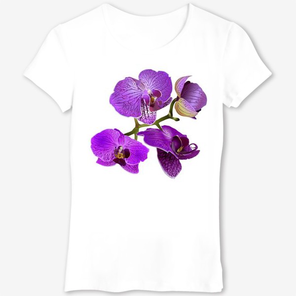 Футболка «Кустик орхидеи фиолетового цвета векторная иллюстрация»