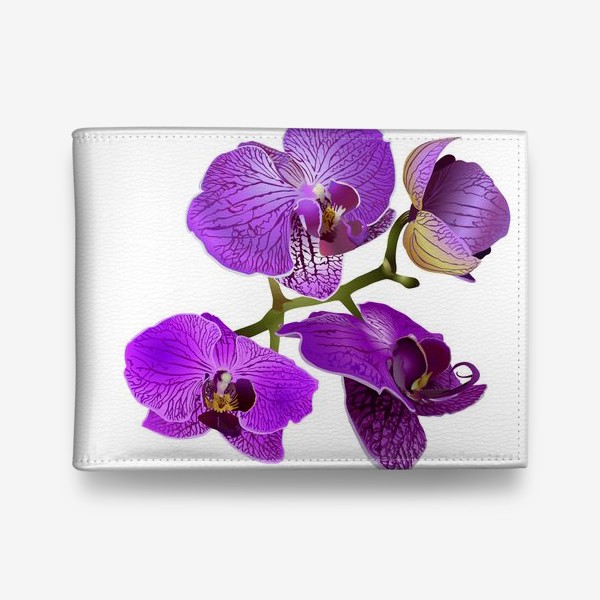 Кошелек «Кустик орхидеи фиолетового цвета векторная иллюстрация»