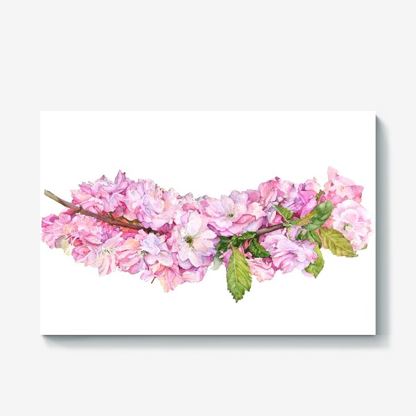 Холст «Акварель, розовые цветы вишня, сакура, яблоня.»