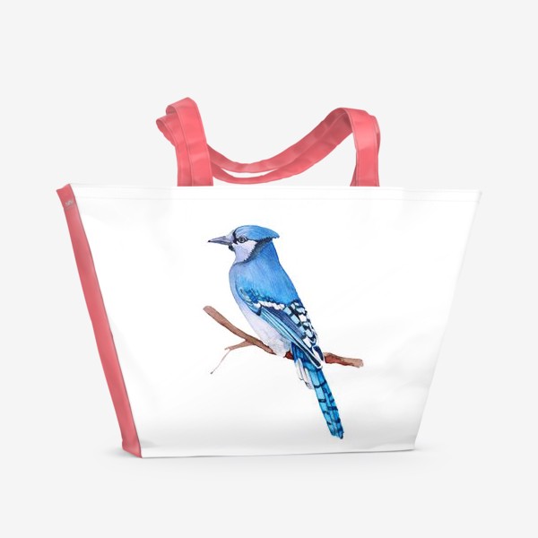 Пляжная сумка «Watercolor illustration. Bright Blue Jay bird on white background.»