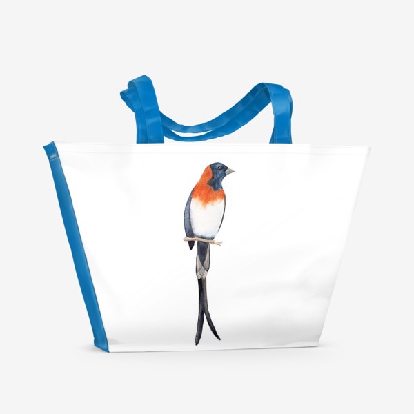 Пляжная сумка «Акварель. Птица ласточка.»