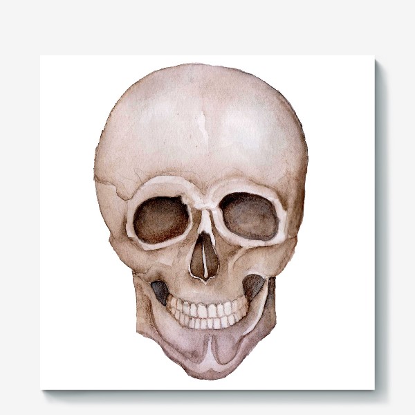 Холст «Акварель. Человеческий череп.»