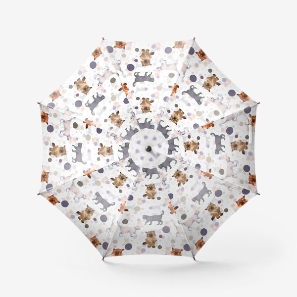 Зонт «котята и мяч»