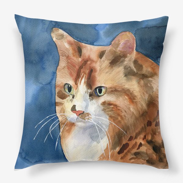 Подушка «домашняя кошка»